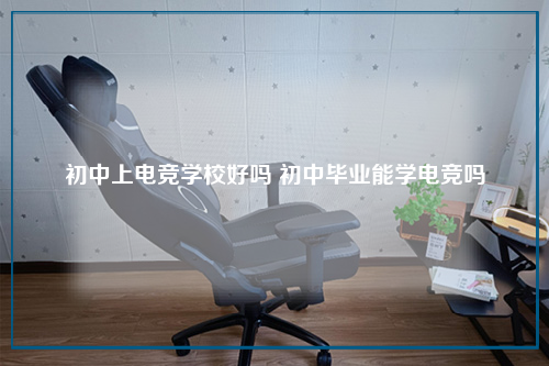 初中上电竞学校好吗 初中毕业能学电竞吗